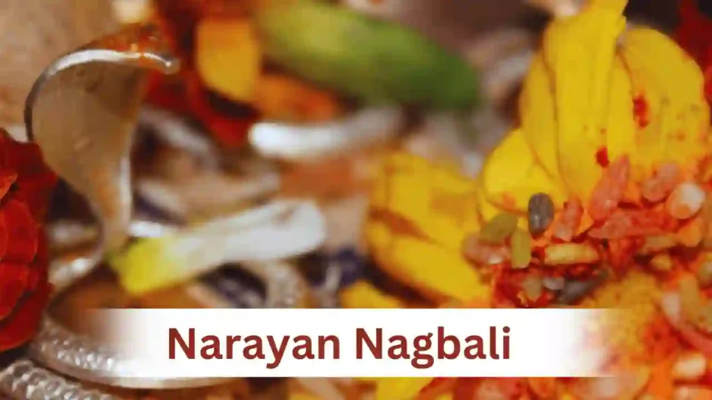 narayan nagbali puja cost benefits book pandit