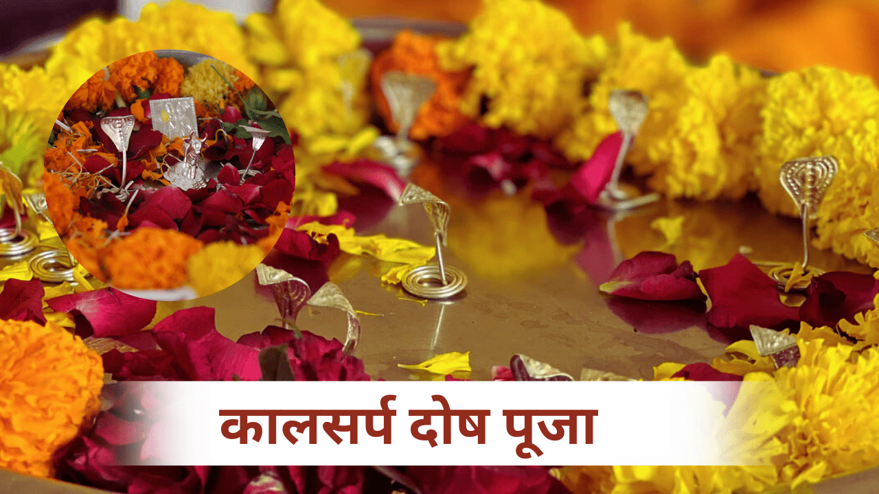 काल सर्प दोष निवारण पूजा