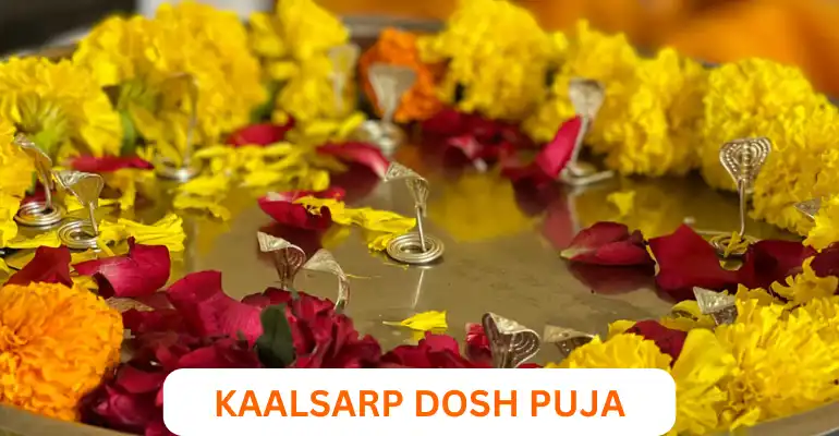 Kaal Sarp Dosh Puja