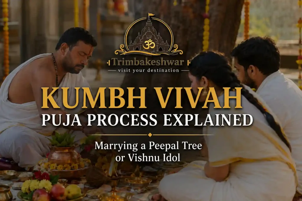 Kumbh Vivah Puja Process